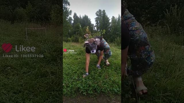 прыгающее искусств и юка на заднем фоне