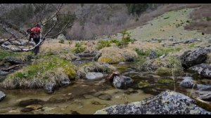 Махарское ущелье , Северный Кавказ , май .