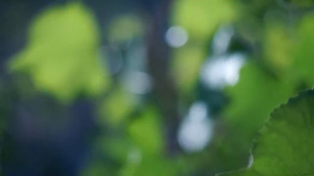 МС ГЕЛИОС 77М-4 смотреть онлайн