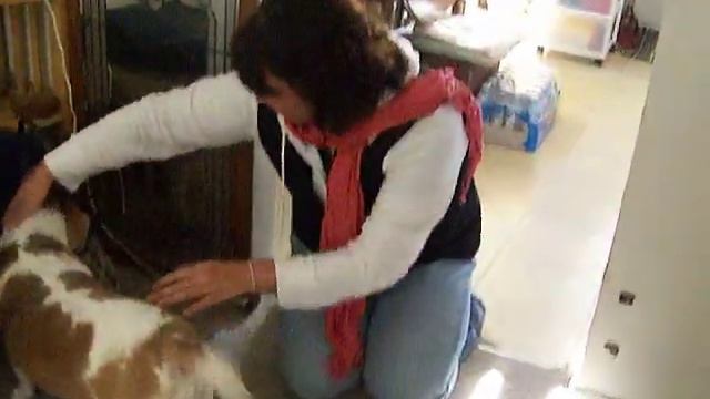 Reunited...and it feels so GOOD! смотреть онлайн