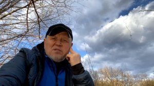 Крапива рецепт СМУЗИ польза и вред Молодая КРАПИВА в пищу