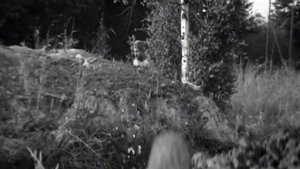 Солдат и слон