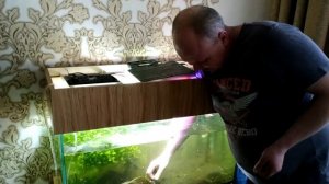 Запуск кубика 60\60\60. Запуск травника и не только...