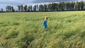 Малай на белом Барсе