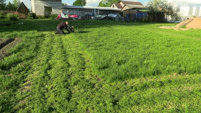 Сложный выбор, газонокосилка Champion LM5645 или триммер Stihl FS250. Цена, скорость работы, мощь. смотреть онлайн