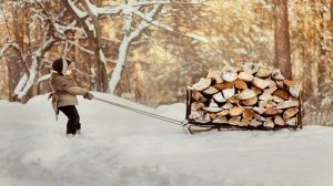 Некрасов.Крестьянские дети