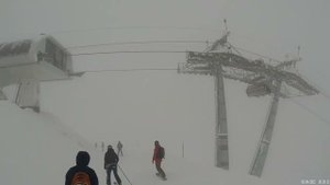 9. Роза Хутор Южный склон