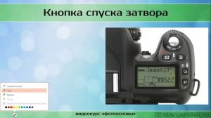 Фокусировка  Учимся правильной наводке на резкость