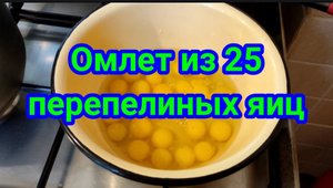 Омлет из 25 перепелиных яиц