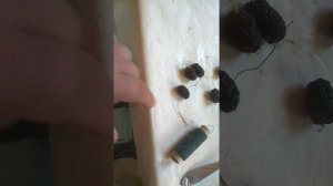 Как насадить шелковицу на крючок .