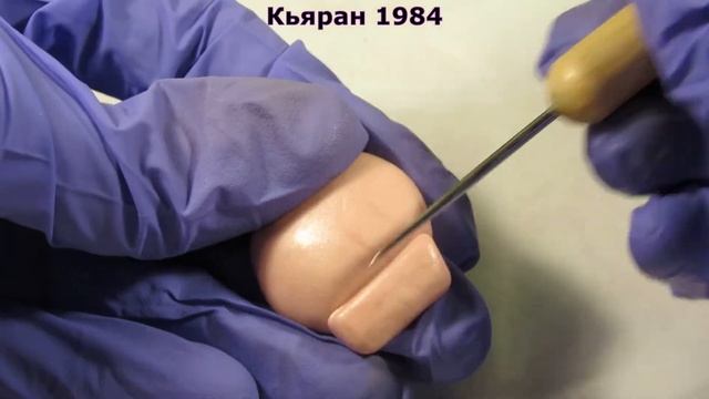 Как сделать закладку в виде ракушки ? Полимерная глина смотреть онлайн