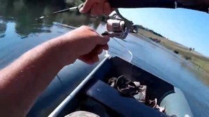 Щука на цикаду, плюс неплохой бонус