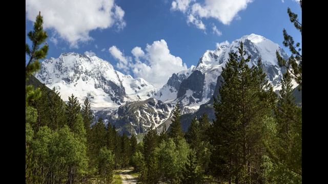 Красная книга