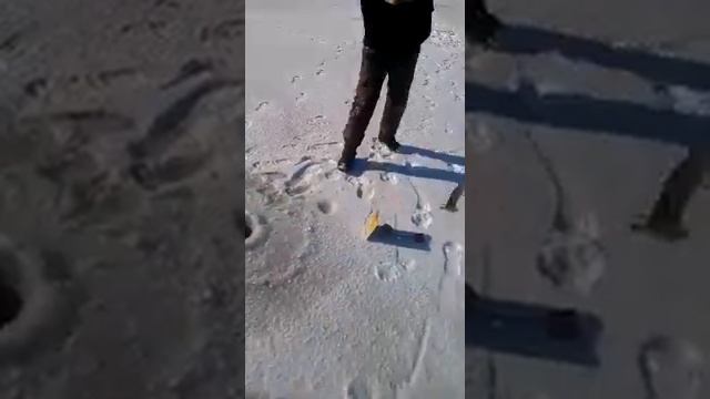 Зимняя рыбалка в Акмолинской области смотреть онлайн