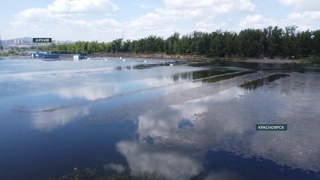 Ольга Чернышёва, заместитель министра экологии и рационального природопользования Красноярского кра
