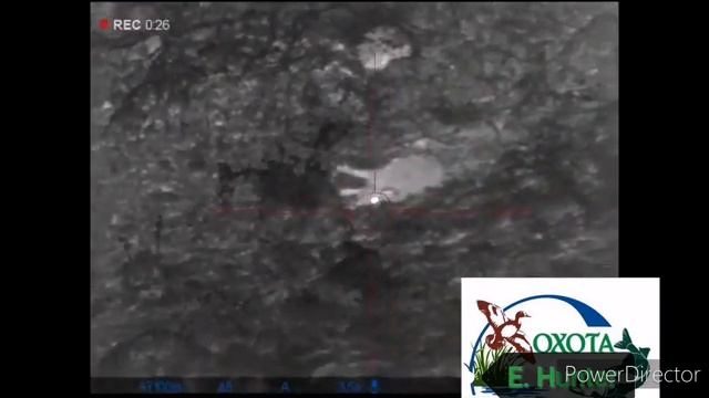 Охота на кабана. Крупный "СЕКАЧ". #охота #охотавроссии #охотасоспаниелем#ночнаяохота #охотамоёхобби смотреть онлайн