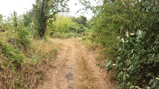 Вечерняя покатушка Краснодар Эндуро kews nb 300