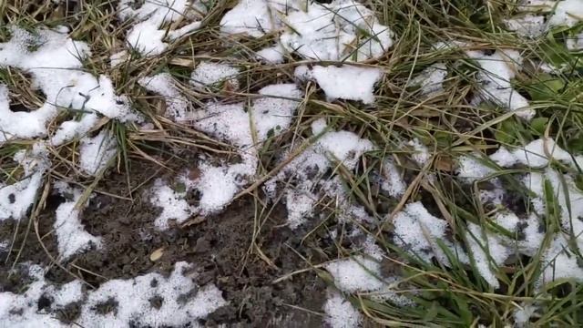 Ранняя зима смотреть онлайн