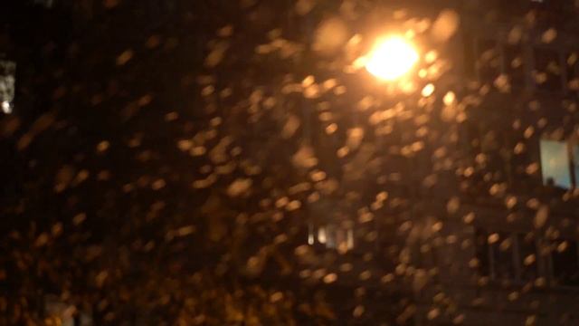 Обзор фотокамеры Sony A7R II: съемка видео 4К, ручной фокус смотреть онлайн