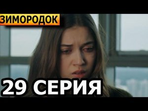 Зимородок 29 серия на русском языке. Новый турецкий сериал