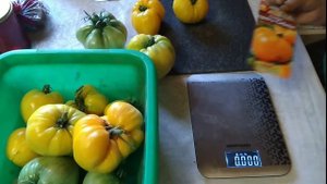 Томат.Король Сибири.Порадовал .Обзор и дегустация.