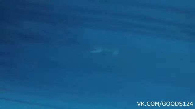 #ПРОВЕРЕНО! Обзор водонепроницаемых часов для плаванья. Проверяем на глубине 5 метров в бассейне. смотреть онлайн