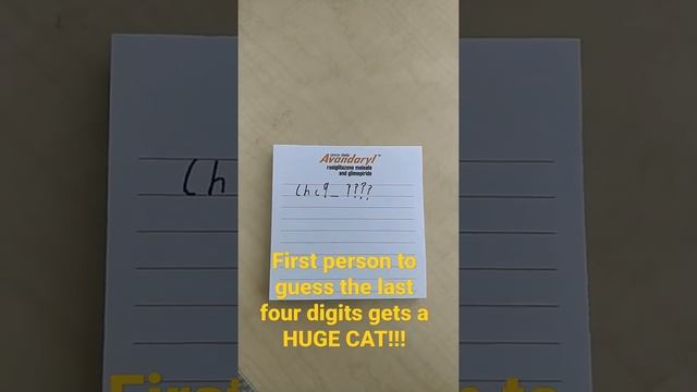 First person to guess the last four digits gets the huge cat code!!!! Subscribe!! (Pet simulator X)