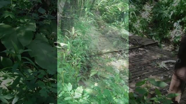 Дача в СНТ Сунгирь во Владимире #дача #сад смотреть онлайн