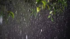 Шум дождя для сна. Heavy rain and thunderstorm sounds in tropical forest Rain