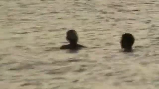 Пустынный пляж на Азове смотреть онлайн