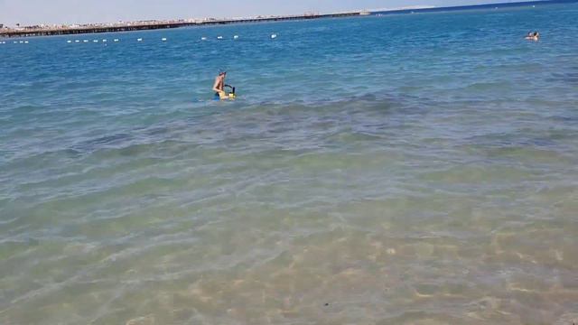 ЕГИПЕТ/ Pickalbatros Jungle Aqua Park Resort-Neverland Hurghada/ ноябрь/Дорога на море смотреть онлайн