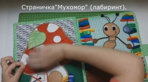 Развивающая книжка из фетра "Букашки" (обзор)