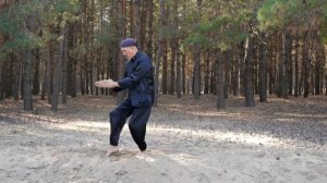 Rem Plugatar Master of Wushu from Ukraine- Qigong 2/2