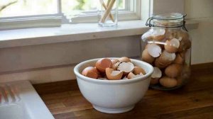 ЯИЧНАЯ скорлупа в ОГОРОДЕ, как использовать ЯЙЦО в САДУ