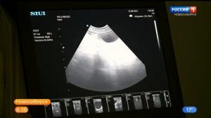 Ветеринарная клиника в Новосибирске получила новый эндоскоп