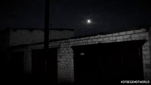 Истории на ночь - ХОРОШО,ЧТО Я НЕ ВПУСТИЛ ИХ...