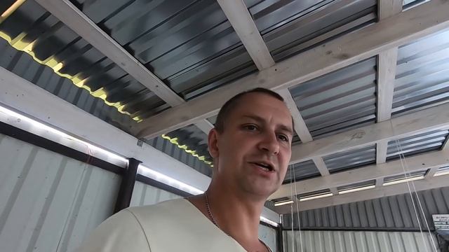 Индейка 70 суток. Хайбрид-Конвертер и БИГ - 6. Южная корона и Пурина. Веса и выгульное содержание