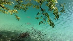 Jiuzhaigou Valley National Park, Sichuan: Fresh water lake