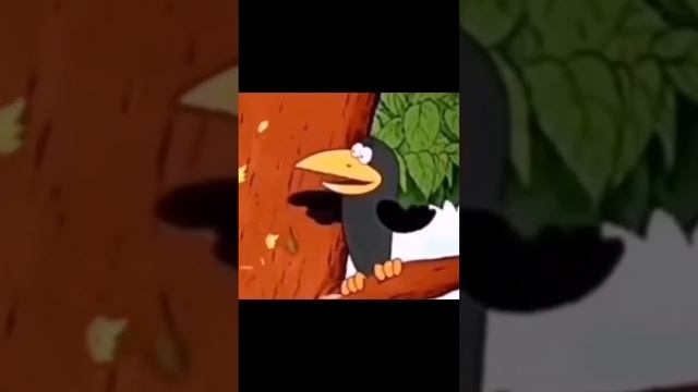 46189333_1171019893854016_5908284368696691628_n.mp4