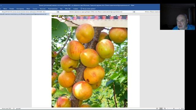 Каталог Железова - рассказ про уникальные семена. Серия 3.