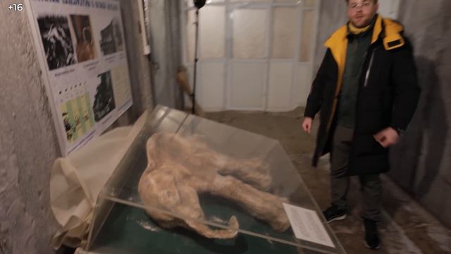 Вечная мерзлота | Внутри хранилища судного дня в Якутии | «Наше всё. Основной инстинкт». Выпуск #1 смотреть онлайн