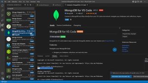 How to add MongoDB as Visual Studio Code extension / MongoDB VSCode extension