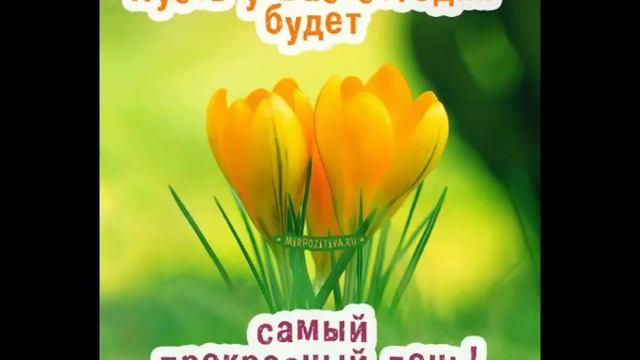 Позитивная видео открытка, хорошего дня , счастье есть смотреть онлайн