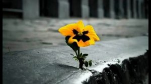 Не запрещай себе мечтать.  #песни #любовь #бабушка