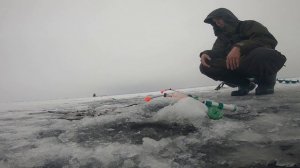 Зимняя рыбалка на корюшку. Рыбалка на Финском заливе. Питерский деликатес. Ловля корюшки.