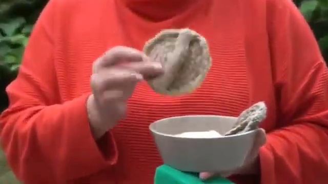 Экология Камчатки. Экопривычки и эковещи на каждый день.