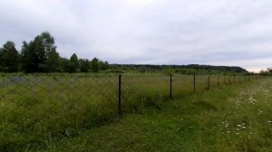 Откорм бычков без дроблёнки. Ещё один способ откорма....