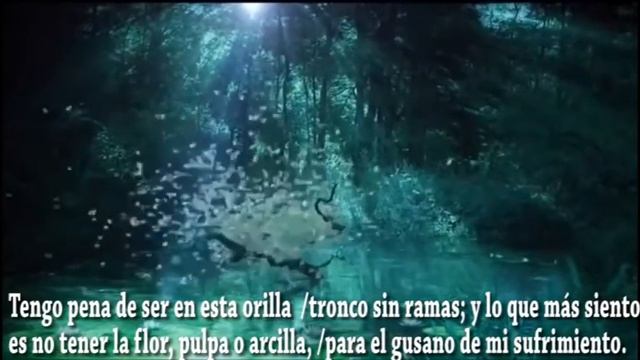 "Soneto de la dulce queja". Joan Mora FEDERICO GARCÍA LORCA смотреть онлайн