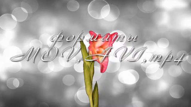 Цветок распускается 7(альфа+AVI+mp4) смотреть онлайн