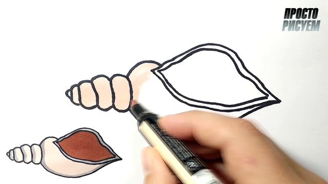 Как нарисовать РАКУШКУ, Простые рисунки